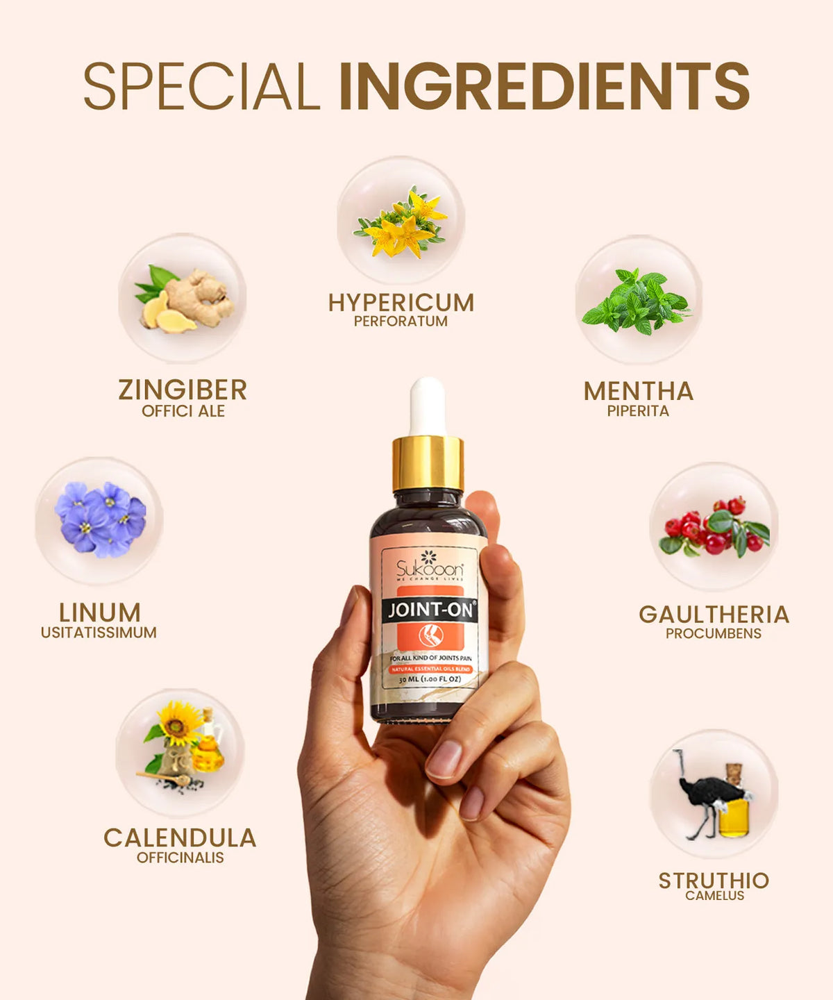 Sukoon Joint-On Essential Oil, For Knee & Joints Support